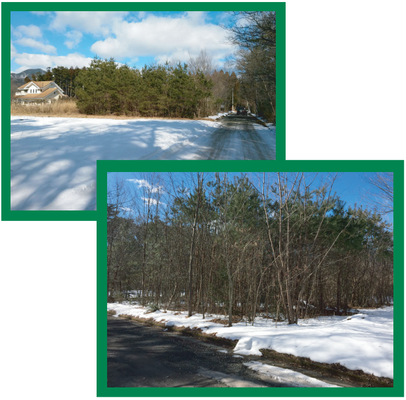 物件写真または間取り図