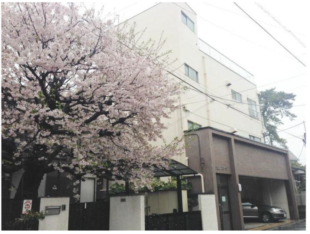 物件写真または間取り図